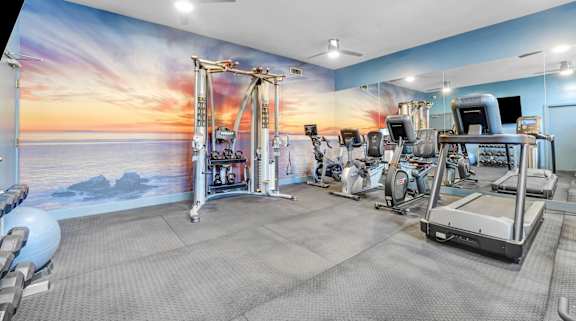 A gym with a sunset mural on the wall.