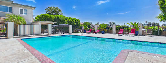A swimming pool with a red border and a clear blue sky.