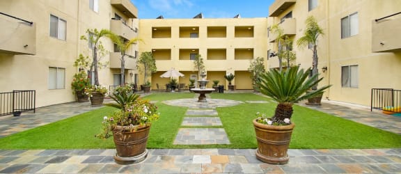 a park with palm trees and grass and a sidewalk