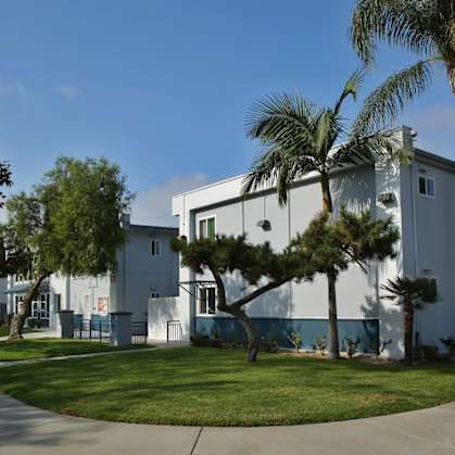 A white building with a palm tree in front.