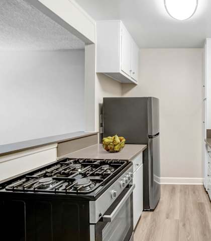 the preserve at ballantyne commons apartment kitchen with stove and sink