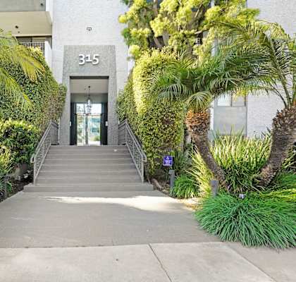 A concrete pathway leads to a glass door with the number 315 on it.