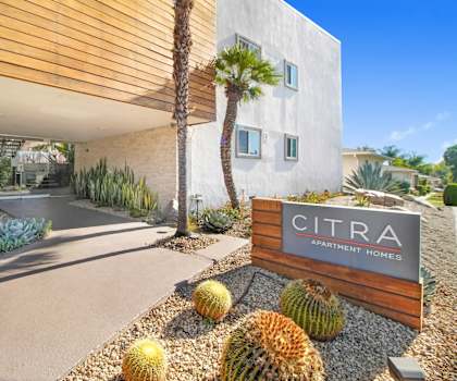 the entrance to cimarron apartment homes with cactus and other plants