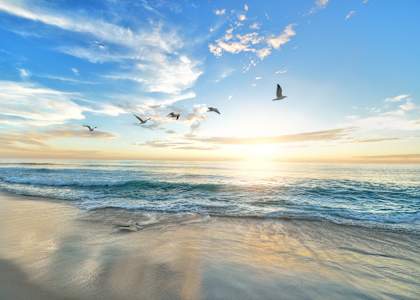 A serene beach scene with birds flying in the sky and the sun setting over the ocean.