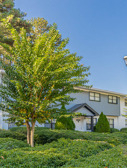 Lush Green Outdoors at Pinewood Townhomes in GA 30084
