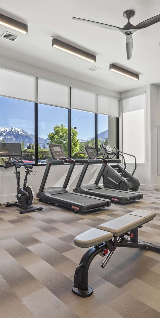 A well-equipped gym with a variety of exercise equipment.