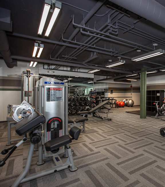A gym with a variety of equipment including weights and cardio machines at Toluca Lofts, Toluca Lake, CA