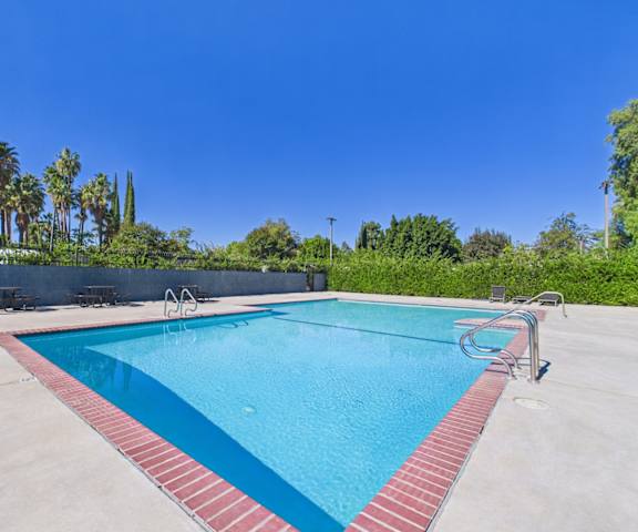 A swimming pool surrounded by palm trees and a clear blue sky.