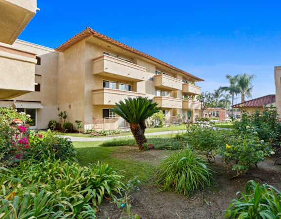 a view of a garden in front of a building