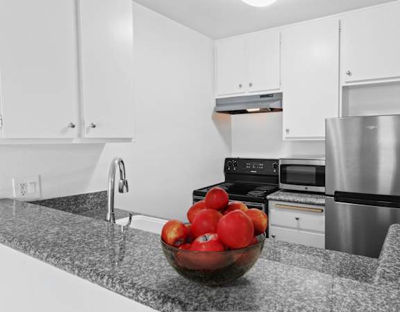 a kitchen with stainless steel appliances and a bowl of apples