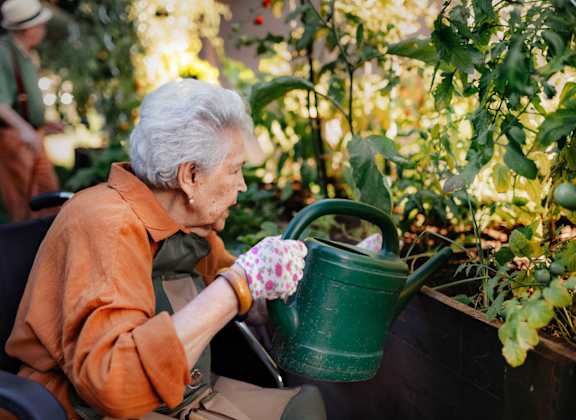 An elderly woman is watering plants in a garden.
