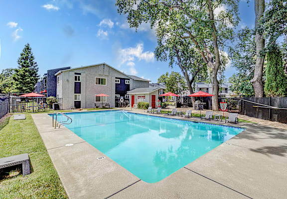 A swimming pool surrounded by trees and a building.