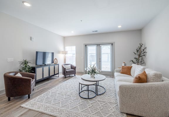 A living room with a brown chair, a white couch, and a rug.