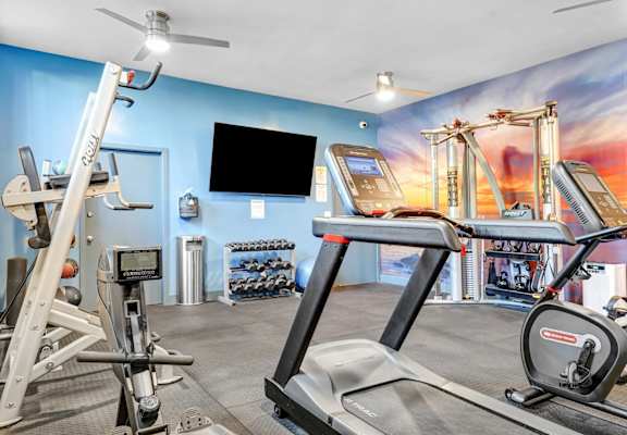 A gym with a treadmill, a weight bench and a television.