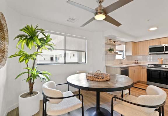 a kitchen and dining room with a ceiling fan and a plant