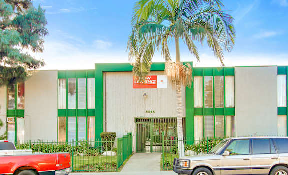 a green and white building with a palm tree in front of it