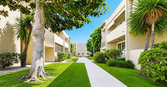 A tree-lined walkway leads to a building.