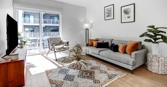 a living room with a couch and a rug and a large window