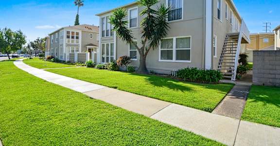 Building Entrance With Palm Tree