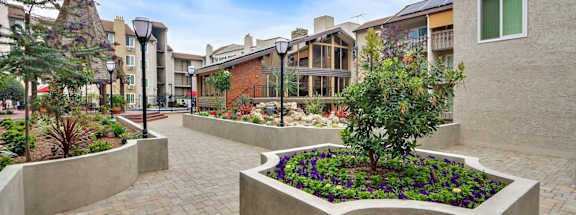 A courtyard with a tree in a planter and buildings in the background.