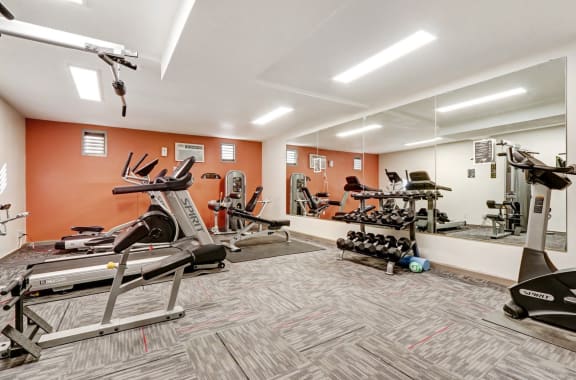 a gym with cardio machines and weights on the floor and a mirror