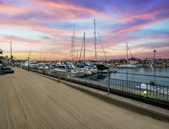 a view of the marina at sunset