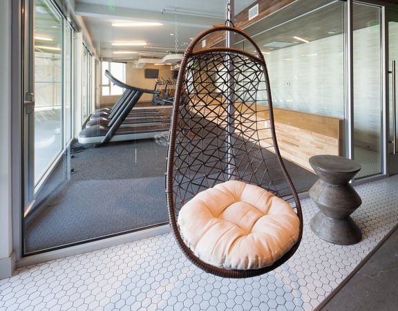 a hanging chair with a cushion in a room with glass doors and a treadmill in the background