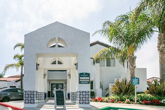 a building with a palm tree in front of it