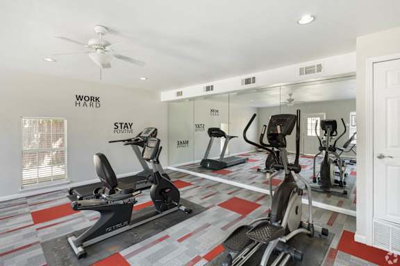 the gym is equipped with treadmills and ellipticals