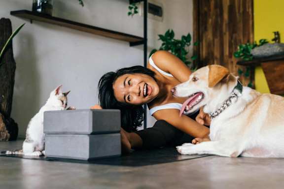Pet Friendly