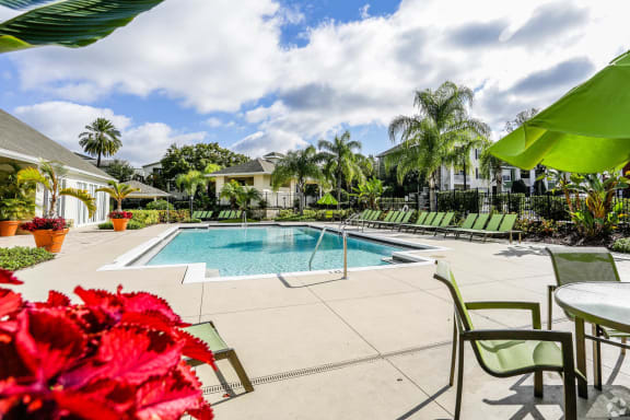 Sparking Pool at The Arbor Walk Apartments, Florida, 33617