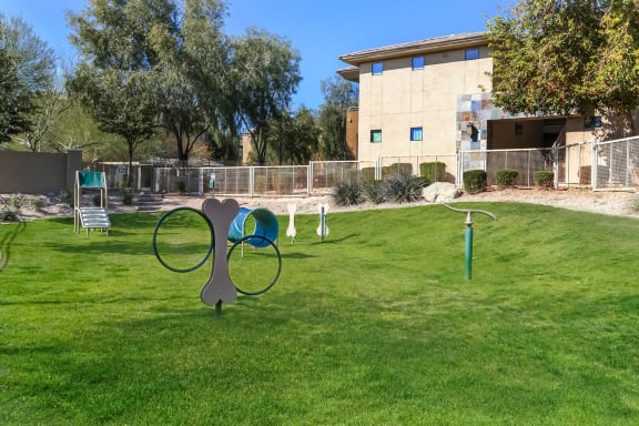 dog park at Avora luxury apartments