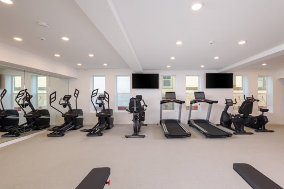 Diverse selection of cardio equipment