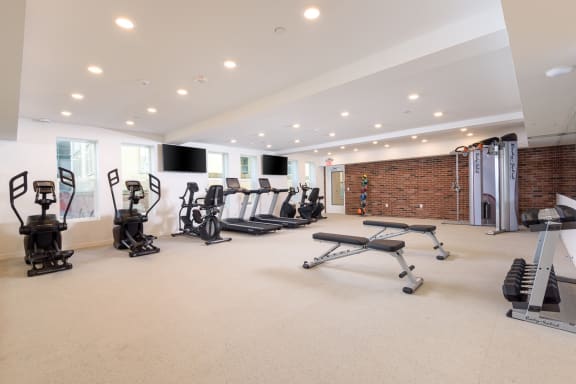 Functional trainer and free weights