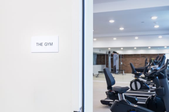 The Gym