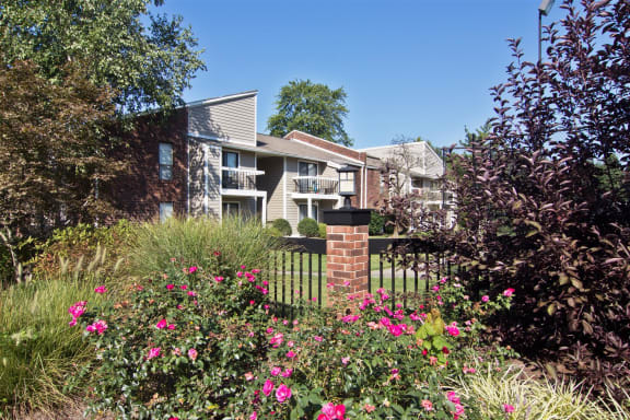 Lush mature landscaping at The Grove at Lyndon, Louisville, KY