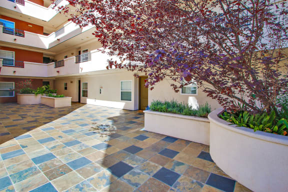 Courtyard