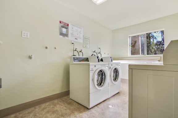 Laundry facility with concrete flooring