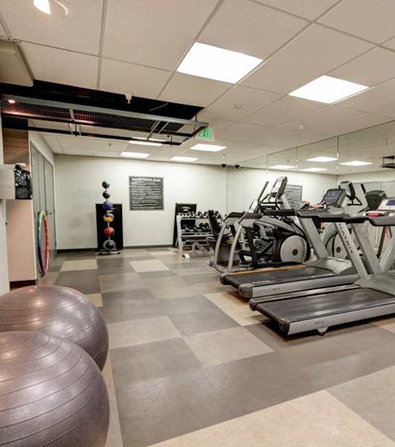 A gym with a variety of equipment including treadmills, weights, and exercise balls at El Greco Lofts, Los Angeles, CA