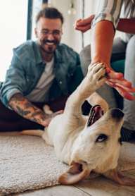 A man and a woman are playing with a dog on a rug.