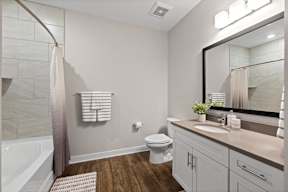 a bathroom with a large mirror and a toilet