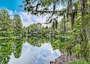 Thumbnail 20 of 21 - Lake at St. Johns Forest Apartments, Jacksonville, Florida