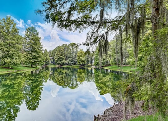 Lake at St. Johns Forest Apartments, Jacksonville, Florida