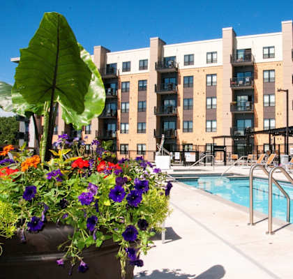 the swimming pool at our crossings apartments