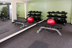 Assorted Free Weights in Fitness Room of 2800 Girard apartments in Minneapolis, MN