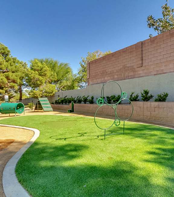 Dog Park at Bella Terra Apartments, Henderson, NV, 89012