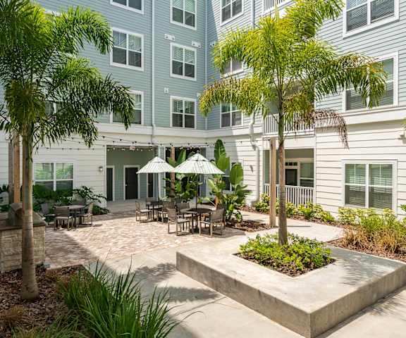 Courtyard Oasis With Palm Trees & Overhead String Lights