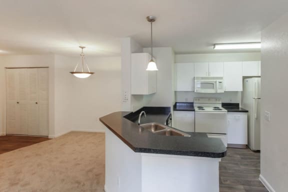 Open Floor Plan with Carpeted Living Room Breakfast Bar and Fully-Equipped Kitchen with Double Basin Sink Black Counters White Cabinets and White Appliances