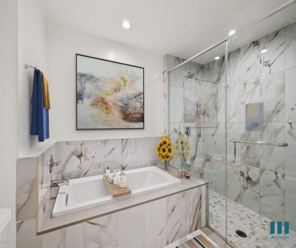 a bathroom with a tub and a shower and a painting on the wall