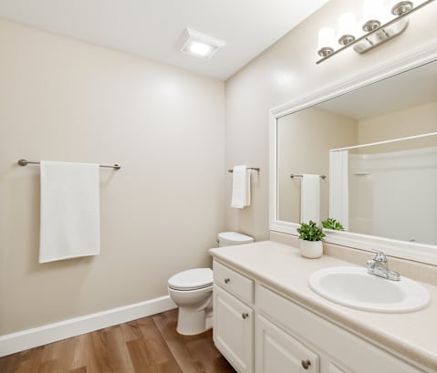 A bathroom with a toilet, sink, and mirror.